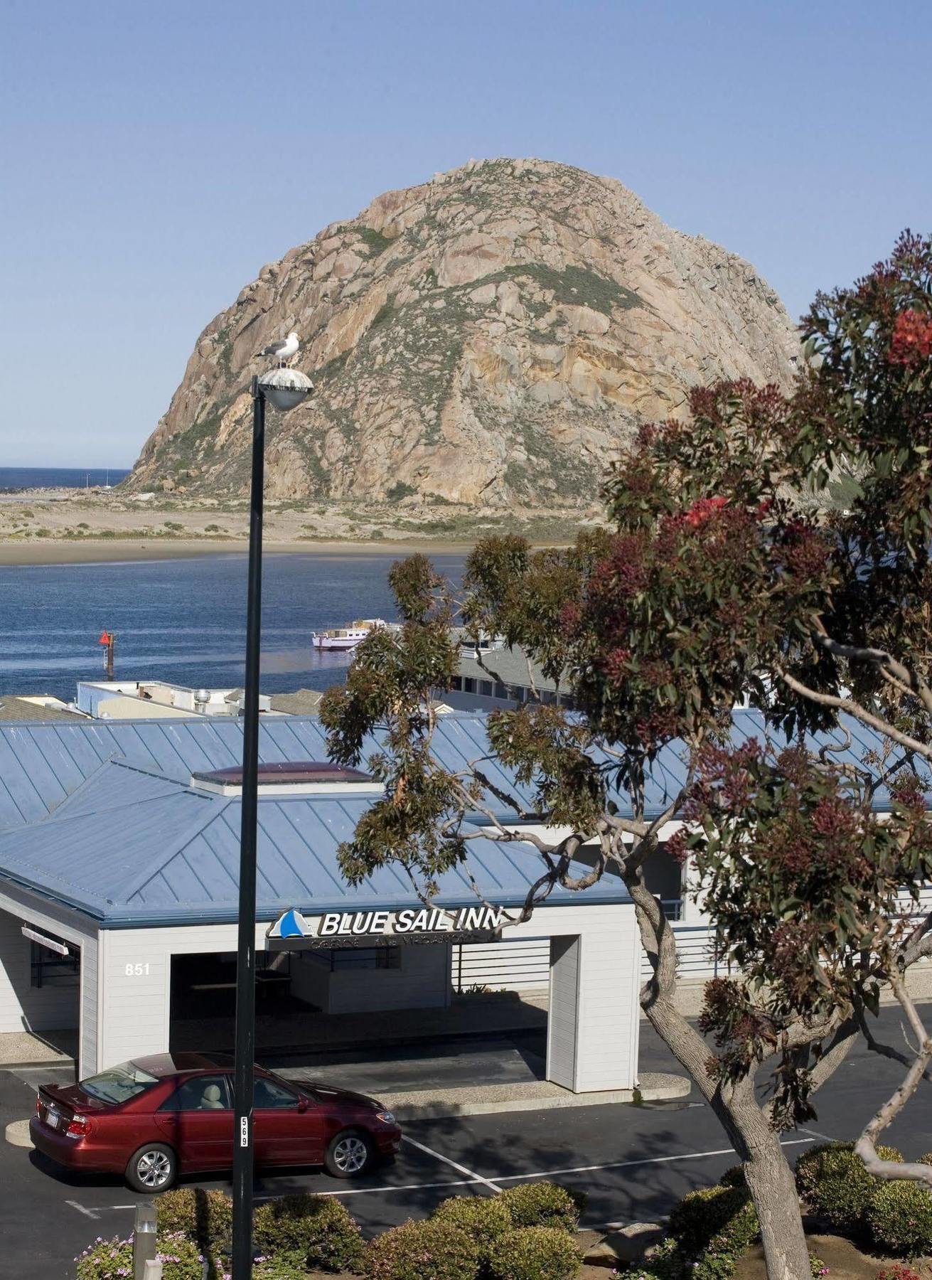 Blue Sail Inn Morro Bay Eksteriør bilde